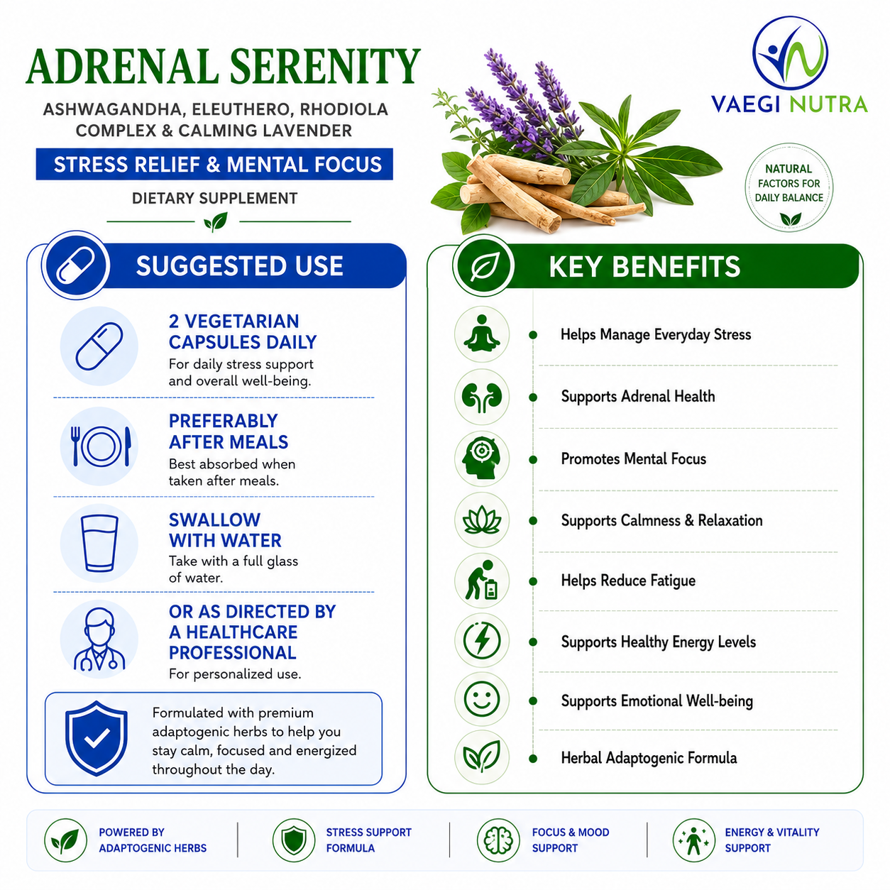 BRAIN ADRENAL SERENITY